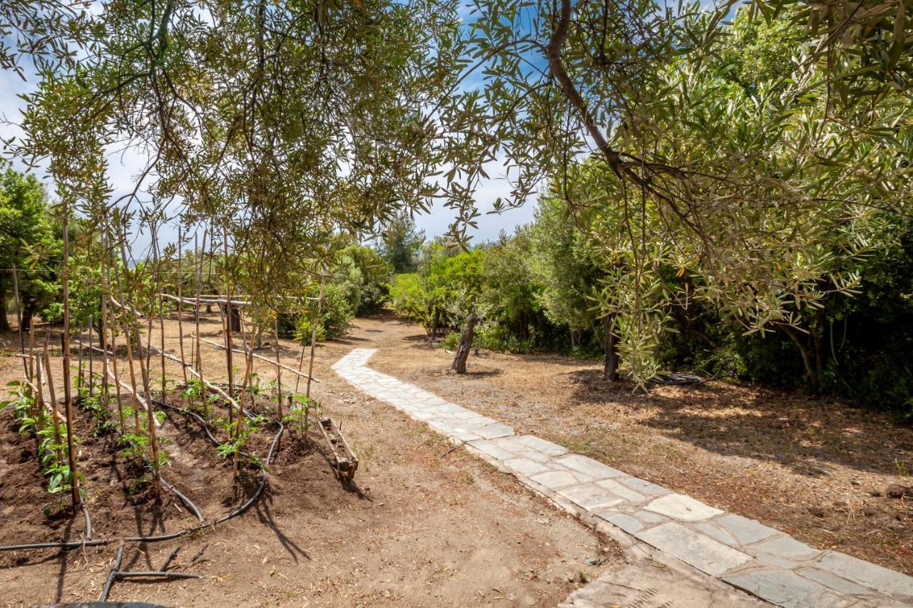 Hidden Gem Sithonia Vila Metochi Agias Kiriakis Exterior foto